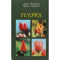 Tulpės / Angelė Baliūnienė,...